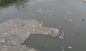 水污染图片